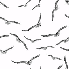 Seamless background of sketches flying seagulls