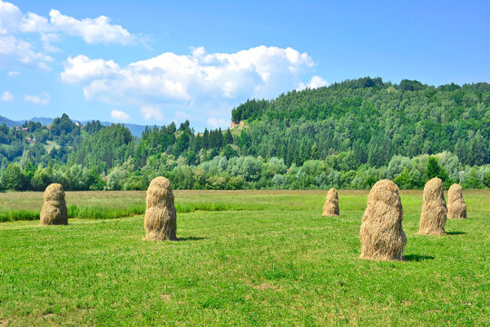 Field with haystacks in the sunny day.  Photo of rural landscape in the background of mountains, Barcice, Poland