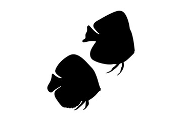 Black silhouette of tropical fish, vector drawing