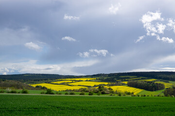 Obraz premium Landschaft im Sommer