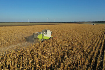 Rotary straw walker cut and threshes ripe wheat grain. Combine harvester with grain header, wide...