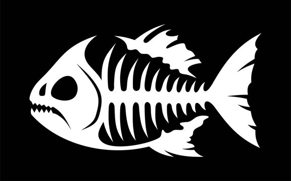Piranha fish skeleton on black background in vector EPS8