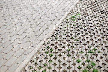 Ecoparkovka (ecological parking) Ñ an area for parking vehicles, sown with lawn grass and...