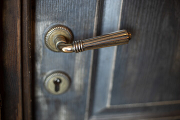 Detail of a metallic knob on grey door horizontal