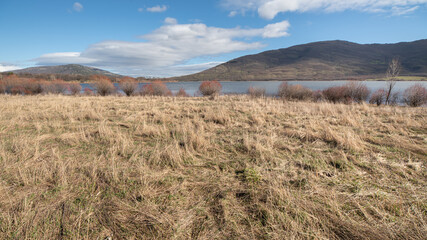 Reservoir with mountains and wicker shrubs
