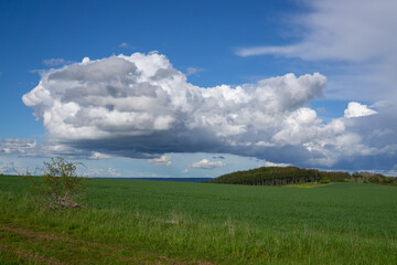 Landschaft im Sommer
