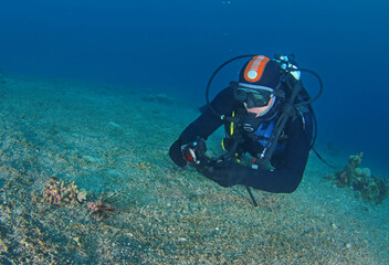 Scuba diver takes a picture beautiful colourful lion fish 