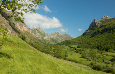 Fototapeta na wymiar Pristine green nature landscape of Somiedo Natural Park in spring