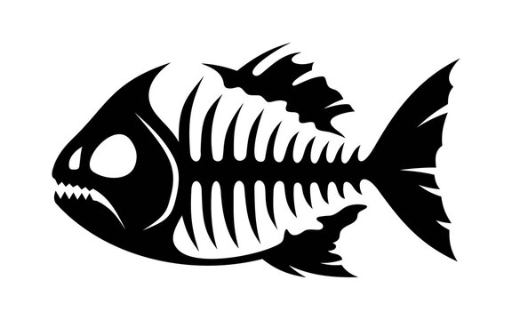 Piranha fish skeleton on white background in vector EPS8