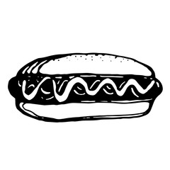 hot dog, vector on transparent background