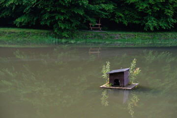 Fototapety na wymiar - Fototapeta24.pl