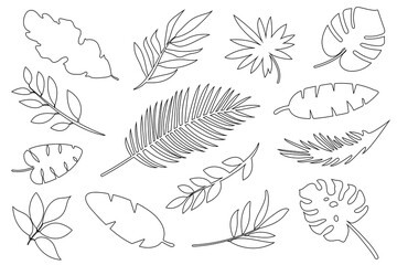 Linear Tropical Leaves. Collection of exotic jungle leaves Vector design elements