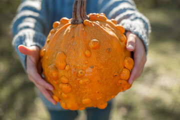 Deformed ugly orange pumpkin in a child hands. 