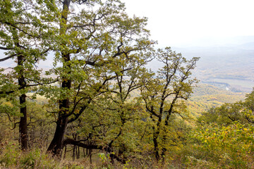 Autumn nature walks through the mountain canyon.