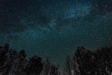 milky way and trees