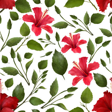 Floral pattern with realistic bright red hibiscus flowers and leaves, ingredients for herbal tea. Can be used for a greetings, invitations, posters