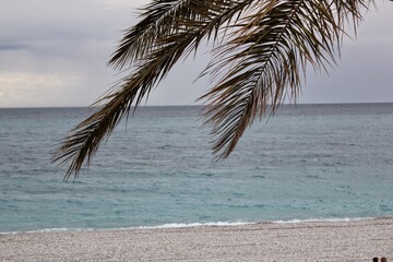 A view of the sea with palm trees