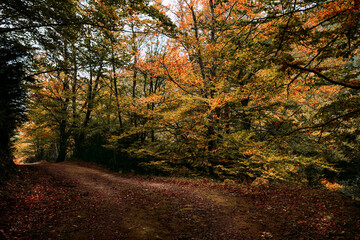 Los Ports natural park