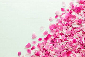 Pink rose petals placed in the corners on white wooden table with space for text in the center. Top view.
