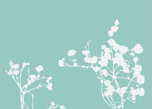 White small flowers on turquoise background. Gypsophila branches plant silhouette. Decorative element for decoration and design. vector EPS10. 