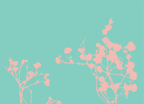 Pink small flowers on turquoise background. Gypsophila branches plant silhouette. Decorative element for decoration and design. vector EPS10. 