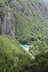 Fototapeta na wymiar canyon of the Tara river Montenegro