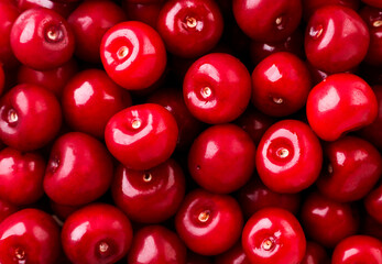 Red cherries background. The view from top