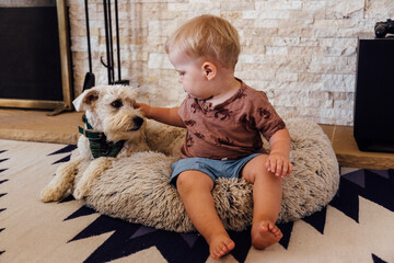 Toddler boy stroking dog while sitting on pet bed at home