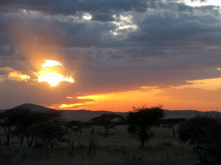 sunset in Serengeti National Park Tanzania
