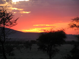 Fototapeta na wymiar sunset in Serengeti National Park Tanzania 
