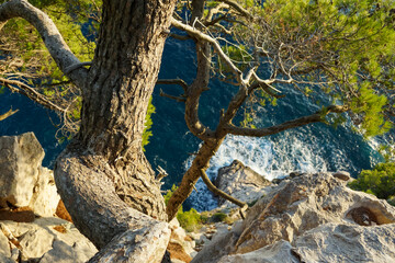 Croatia, Pasjaca beach and cliffs near Dubrovnik. Beautiful landscape taken at sunset. Seaside at sunset time.  