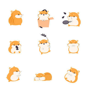 Cute Hamster Eating Seeds Set, Adorable Funny Pet Animal Characters Cartoon Vector Illustration