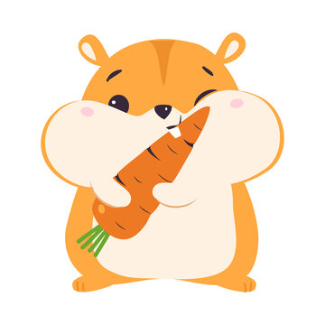 Cute Hamster Eating Carrot, Adorable Funny Pet Animal Character Cartoon Vector Illustration