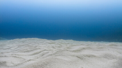 Fototapeta na wymiar Underwater landscape in Maldives