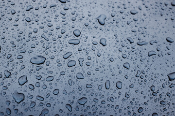 Blue water drop background. Pattern from water drops.