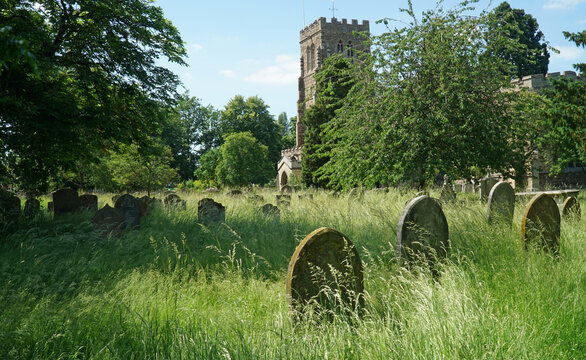 Eaton Socon Church and churchyard with grass left uncut in graveyard to encourage insects.