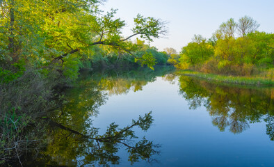 quet summer river with green forest on coast