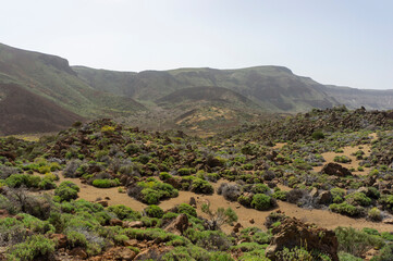 Fototapeta na wymiar Martian landscape of Tenerife island