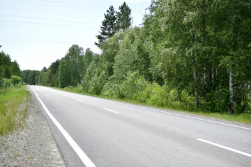 High-speed asphalt highway in the forest during the day