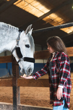 Girl feeding feed to horse in stable while standing by fence