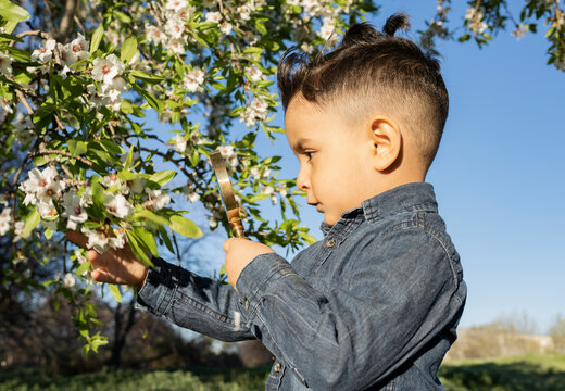 Curious boy in denim shirt examining flowers through magnifying glass in park