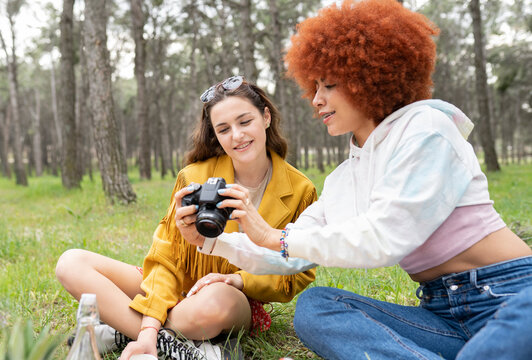 Female friends looking at photograph in camera while sitting at forest