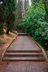 Old sidewalk in coniferous park. Old concrete slabs.