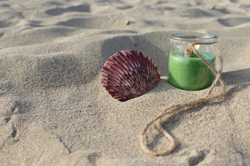 Vela verde con concha roja en la arena