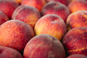 Peaches in a black box. Many peaches on the market. Box full of fresh picked peaches. Close-up of colorful fruit. Organic food for health. Vitamins. Depth of field
