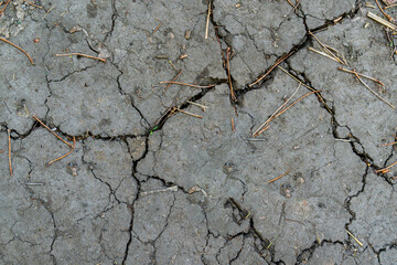 Cracked ground texture with grass pieces
