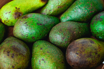 Green ripe avocados. Concept of healthy fruit also useful in cosmetics. Fresh healthy avocado on a table. Stack of avocado in grocery store. Industry of selling products. Spinning. Close up