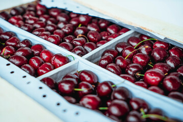 Sweet Cherries on a white wooden box. Fresh juicy red cherry berry rotate. Tasty natural desserts for healthy eating. Raw dessert food with sweet taste