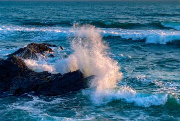 Obraz premium Crashing waves on the Pacific Coast of Sea Ranch, CA
