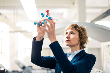 Mature expertise holding molecular structure model at workshop